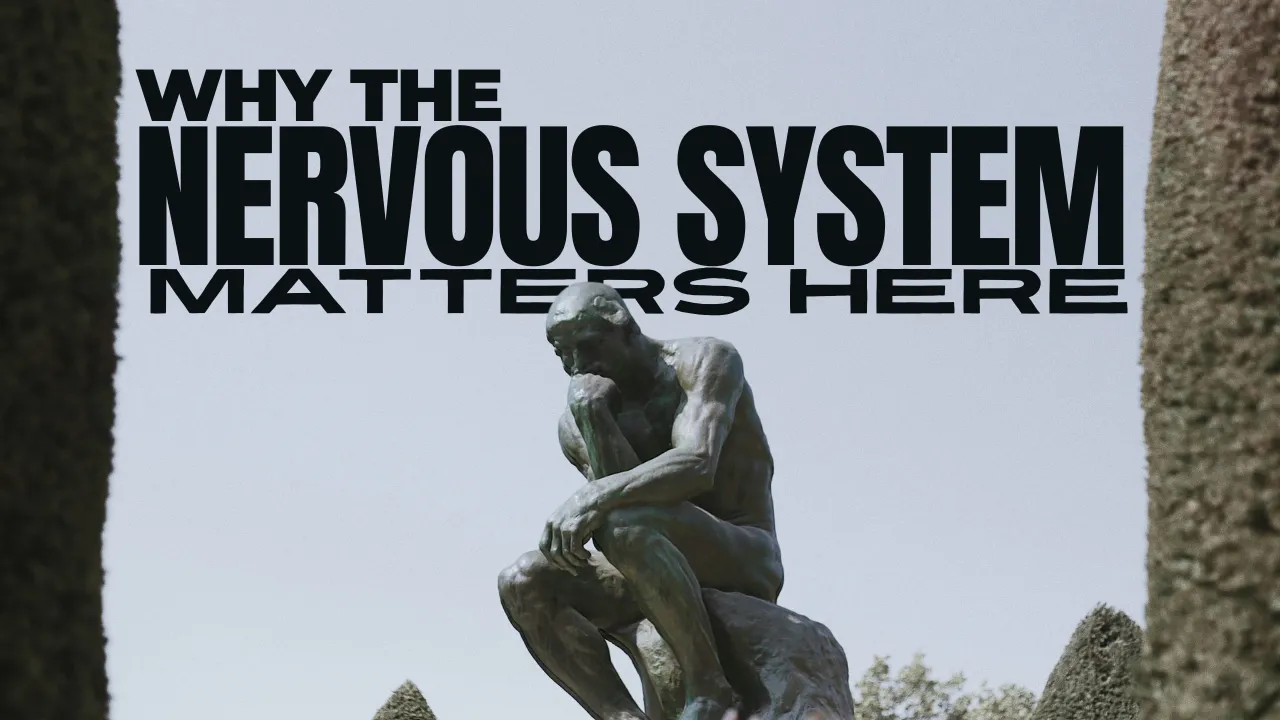 Why the Nervous System Matters Here