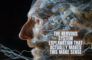 The Nervous System Explanation That Actually Makes This Make Sense